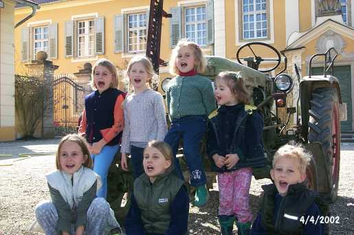 Picture of Dieselross